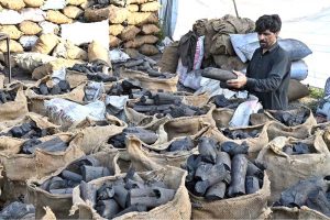 Vendor displaying coal to attract the customers for Bar B Q at G-7 in connection with Eidul Azha