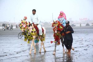 Despite the scorching heat, a family enjoys a horseback ride along the breezy coast of Seaview to enjoy a summer vacation by the sea