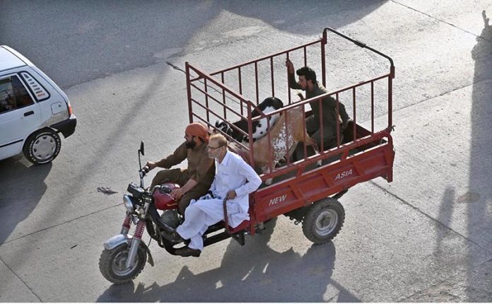 A customer transports a sacrificial animal on a delivery auto after purchase, ahead of Eid-ul-Azha, near Zia Masjid, in preparation to fulfill the holy Sunnah of Hazrat Ibrahim (AS)
