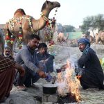 Vendors making tea while waiting the customers for selling the sacrificial animal Camels at Animal Market Shahpur Kanjra in connection with Eidul Azha