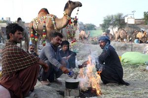 Vendors making tea while waiting the customers for selling the sacrificial animal Camels at Animal Market Shahpur Kanjra in connection with Eidul Azha