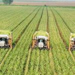 MoU signed for progress of Agriculture Sector in Quetta