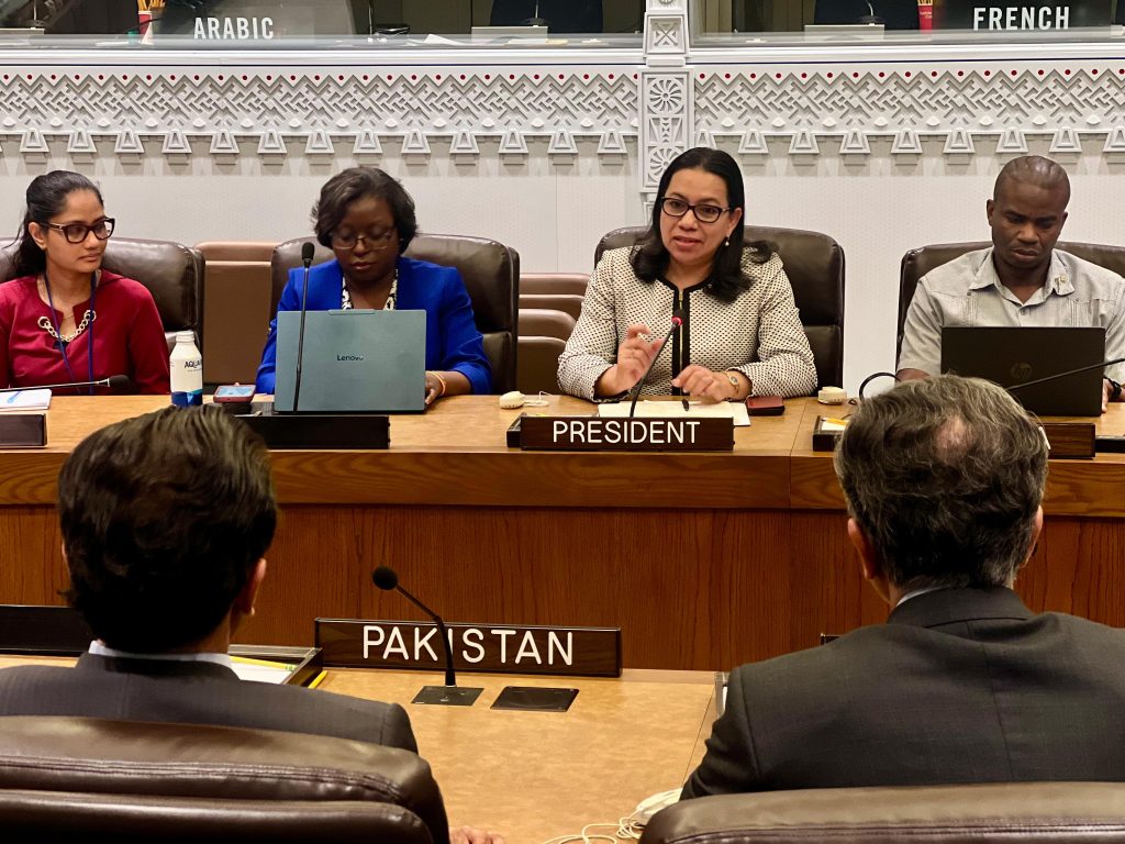 Pakistani delegation emphasizes UNSC to play proactive role in promoting de-escalation, disputes' resolution