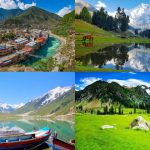Safety reforms urgently needed to protect Northern tourism