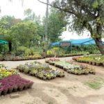 CDA Plant Nursery works overtime to beautify Islamabad with diverse plant species