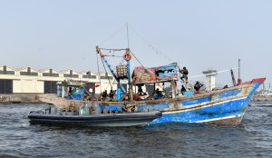 PN conducts exercises to strengthen defence of ports, harbours against sub-conventional threats