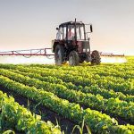 China-Pakistan saline-alkali land and dryland agriculture cooperation deepens