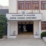 Collaborative push urged to modernize, revamp fisheries industry in Sindh