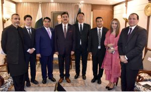 Gilani urges joint strategy to tackle global challenges
