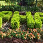 PHA plants saplings in 2,000 homes under free plant delivery campaign