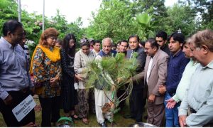 NPC, CDA launch one million tree plantation drive under ‘Green Islamabad’ campaign
