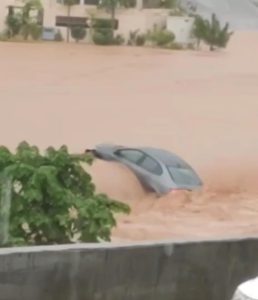 Retired officer, daughter swept away as car submerged in housing society's drain
