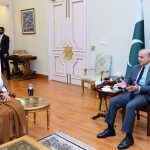 Saudi Ambassador calls on the PM