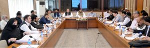 Actions underway to curb illegal connections, electricity meters being installed based on CNICs: NA body told