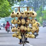 A vendor sells handmade bird nests on his bicycle to attract customers along the Expressway
