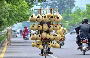 A vendor sells handmade bird nests on his bicycle to attract customers along the Expressway