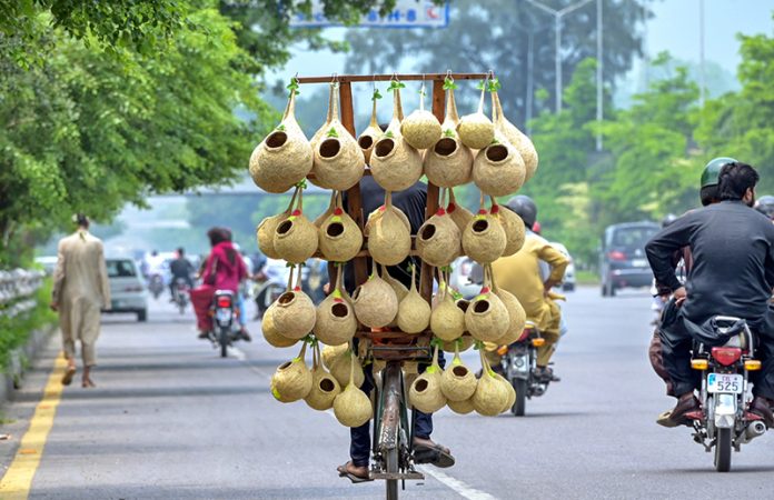 A vendor sells handmade bird nests on his bicycle to attract customers along the Expressway