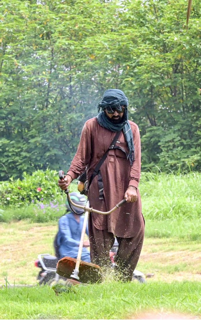 A CDA worker trims grass along the roadside in the Federal Capital as part of routine maintenance