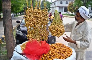 A vendor displaying dates to attract customers at roadside