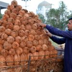 A vendor busy in arranging and displaying coconut on handcart to attract the customers