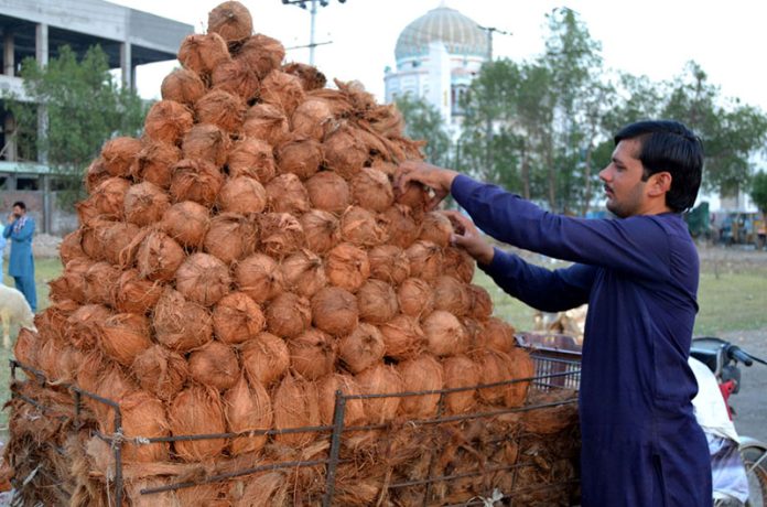 A vendor busy in arranging and displaying coconut on handcart to attract the customers