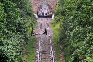 Railway workers carry out repair work on the track near Korang Tunnel — a historic 50-meter-long structure built in 1914 by British engineers. Located adjacent to the Korang Bridge, which spans the Korang River originating from the Murree Hills, the tunnel is part of the active Karachi–Peshawar Railway Line (ML-1)