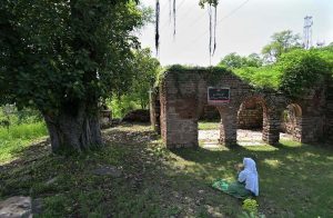 A woman explores the ruins of an ancient mosque situated at the premises of Lotus Lake in the capital. The centuries old abandoned structure was discovered during the development work of the lake in year 2020 in the area, once known as Parian village. The Bunyan tree grown adjacent to the mosque is believed to be some 500 years old.