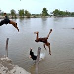 Youngsters beat the heat by diving and swimming in Dadu Canal, seeking relief from the sweltering summer in the city