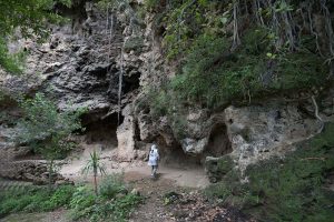 The Buddha Caves at Shah Allah Ditta are located in the heart of Margalla Hills on the natural route to the ancient city of Taxila. These caves are believed to be 2,400 years old. The Buddha caves are adjacent to a garden known as Sadhu ka Bagh. The village of Shah Allah Ditta is named on a dervish of Mughal era. The Buddha Caves consist of natural rock of Kanjur stone. The Kanjur stone used for the construction of Buddhist Stupa at Ban Faqiran, was also extracted from these rocks. These caves were first used by Buddhist monks for meditation. After the decline of Buddhism in Taxila, Hindu sadhus occupied these caves and painted some images of Hindu deities on the walls. There were many Hindu families living in Shah Allah Ditta Village before partition and the Caves were used by them for their daily worship. During the Mughal Period, Muslim ascetics took over the caves and built a square water tank on the water channel emerging from a natural water spring flowing since long. The water tank was constructed in lime stone laid in lime mortar. Mughal rulers and other emperors often passed through this region on their way to India from Afghanistan