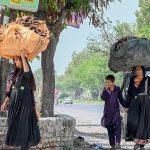 Women carry dry wood branches on their heads for domestic use in the Federal Capital