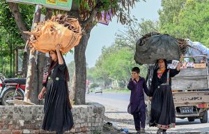 Women carry dry wood branches on their heads for domestic use in the Federal Capital