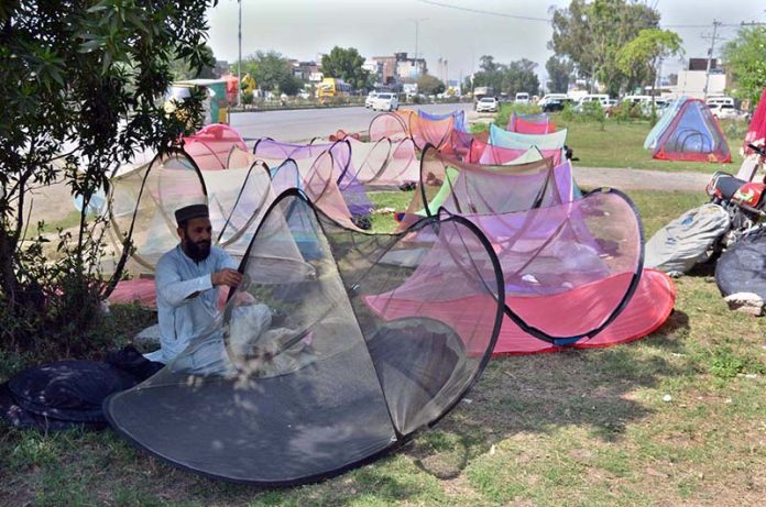 A vendor sells mosquito nets at a roadside stall in the Provincial Capital as a preventative measure against dengue and malaria
