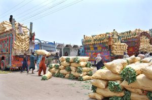 Labourers unload fresh cauliflower from the delivery truck at a busy vegetable market, ensuring fresh stock for local vendors.