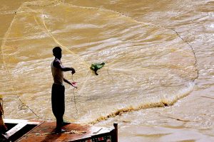 A fisherman casts his net into the Indus River to catch fish.