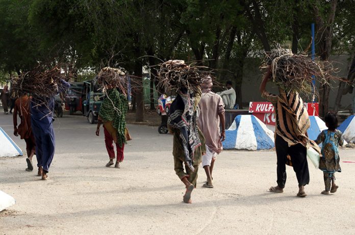 Villager women carry bundles of tree branches on their heads for domestic use as they head toward their destination