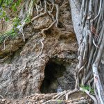 The Buddha Caves at Shah Allah Ditta are located in the heart of Margalla Hills on the natural route to the ancient city of Taxila. These caves are believed to be 2,400 years old. The Buddha caves are adjacent to a garden known as Sadhu ka Bagh. The village of Shah Allah Ditta is named on a dervish of Mughal era. The Buddha Caves consist of natural rock of Kanjur stone. The Kanjur stone used for the construction of Buddhist Stupa at Ban Faqiran, was also extracted from these rocks. These caves were first used by Buddhist monks for meditation. After the decline of Buddhism in Taxila, Hindu sadhus occupied these caves and painted some images of Hindu deities on the walls. There were many Hindu families living in Shah Allah Ditta Village before partition and the Caves were used by them for their daily worship. During the Mughal Period, Muslim ascetics took over the caves and built a square water tank on the water channel emerging from a natural water spring flowing since long. The water tank was constructed in lime stone laid in lime mortar. Mughal rulers and other emperors often passed through this region on their way to India from Afghanistan