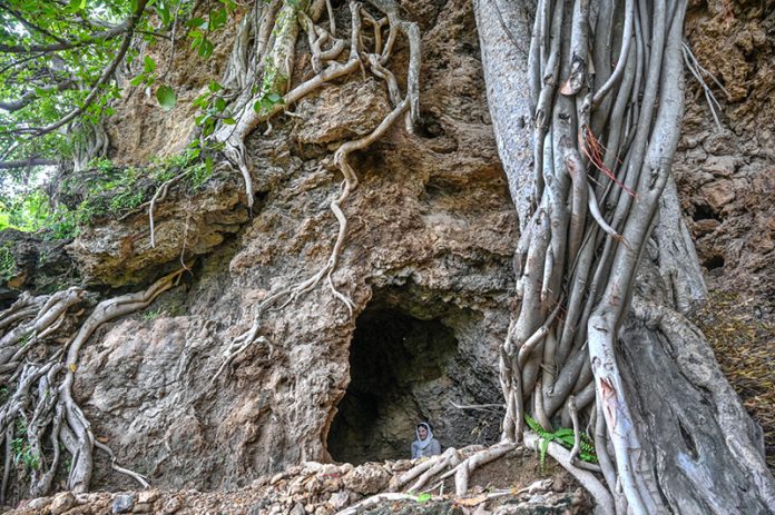 The Buddha Caves at Shah Allah Ditta are located in the heart of Margalla Hills on the natural route to the ancient city of Taxila. These caves are believed to be 2,400 years old. The Buddha caves are adjacent to a garden known as Sadhu ka Bagh. The village of Shah Allah Ditta is named on a dervish of Mughal era. The Buddha Caves consist of natural rock of Kanjur stone. The Kanjur stone used for the construction of Buddhist Stupa at Ban Faqiran, was also extracted from these rocks. These caves were first used by Buddhist monks for meditation. After the decline of Buddhism in Taxila, Hindu sadhus occupied these caves and painted some images of Hindu deities on the walls. There were many Hindu families living in Shah Allah Ditta Village before partition and the Caves were used by them for their daily worship. During the Mughal Period, Muslim ascetics took over the caves and built a square water tank on the water channel emerging from a natural water spring flowing since long. The water tank was constructed in lime stone laid in lime mortar. Mughal rulers and other emperors often passed through this region on their way to India from Afghanistan