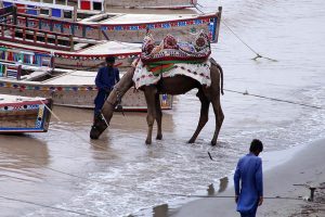 A view of the increased water level in the Indus River at Kotri Barrage due to ongoing heavy monsoon rains across the country.