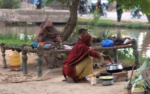 A glimpse of rural life as a woman cooks on a traditional chulha while an elderly woman and a child rest under a tree near the canal to escape the heat.