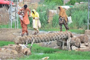People are crossing the sewage nullah using a tree trunk in the Qasimabad area.