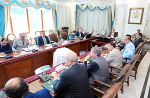 Prime Minister Muhammad Shehbaz Sharif chairs a meeting reforms and restructuring in public sector governance