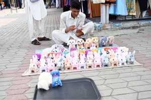 A vendor displaying toys to attract customers at the G-9 weekly bazaar in the Federal Capital