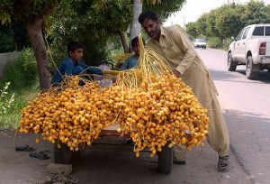 A street vendor, accompanied by his children, arranges fresh dates on his cart along Nawabpur Road to earn a livelihood to support his family.