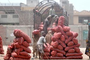 Labourers off-loading potato-filled sacks from trucks at vegetable market for onward distribution to local vendors in the city