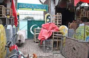 A view of encroachment by bird market vendors at the entrance of Government Model High School No. 1 with cages and pet supplies, disrupting the school’s main access