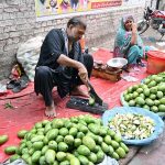A vendor cuts pickled mangoes at his roadside stall, preparing them for eager customers