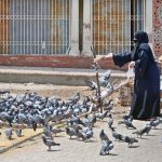 A woman feeds pigeons with compassion, scattering food as an act of kindness