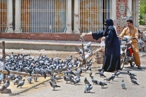 A woman feeds pigeons with compassion, scattering food as an act of kindness