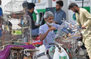 An elderly man tends to bird cages mounted on his bicycle while waiting for customers at a busy roadside. Selling pet birds remains a livelihood for many low-income individuals in urban areas.