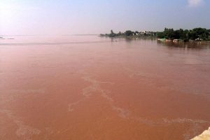 A medium-level flood surges through River Chenab as water levels steadily decline from 104,000 to 76,706 cusecs. Floodwaters continue flowing from Chiniot and Bhawana toward Trimmu Headworks, Jhang.